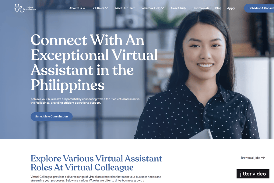 Virtual Colleague